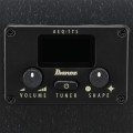 Ibanez AEG1221