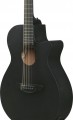 Ibanez AEG621