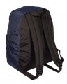 One Polar 1611