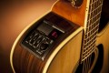 Takamine GD51CE