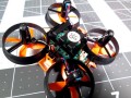 FuriBee F36