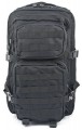 Sturm Assault L 36