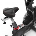 Schwinn Airdyne AD8