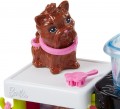 Barbie Groomer FJB31