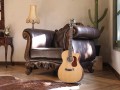 Cort Gold OC6