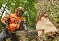 STIHL MS 881