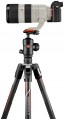 Manfrotto MKBFRTC4GTA-BH