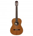 Alvarez AC65