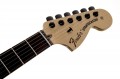 Fender Jim Root Stratocaster