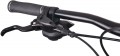MBM Maxilux 29 2022