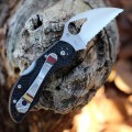 Spyderco Byrd Robin 2 Wharncliffe Serrated