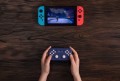 8BitDo Lite SE