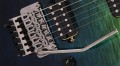 EVH Wolfgang WG Standard QM