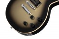 Gibson Adam Jones Les Paul Standard