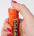 Berner Pen Light