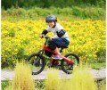 Ninebot Kids Bike 18