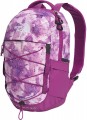 The North Face Borealis Mini
