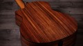 Taylor 254ce Plus