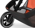 ABC Design Salsa Run
