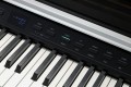 Kurzweil CUP P1