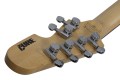 Schecter Robert Smith UltraCure