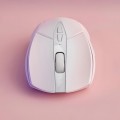 Rapoo V300 SE