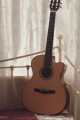 Cort Gold OC8 Nylon