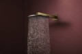 Hansgrohe Raindance Alive S 300 24540000