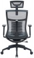 OfficePro Balance OC550