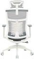 OfficePro Balance OC550