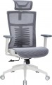 OfficePro Balance OC620