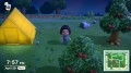 Animal Crossing: New Horizons