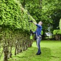 Greenworks GD60PHT51 2301107