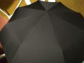 Xiaomi Mijia Automatic Umbrella