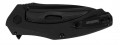 Kershaw Natrix BW