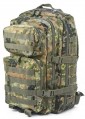 Sturm Assault L 36