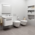 Ravak WC Chrome RimOff X01651
