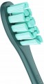 Xiaomi Oclean PW05