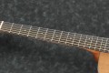 Ibanez AC340L