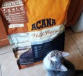 ACANA Wild Prairie Cat and Kitten 4.5 kg