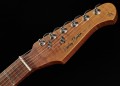 Harley Benton Fusion-III HSS Roasted