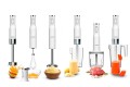 Lauben Stick Blender