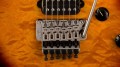 EVH Wolfgang WG Standard QM