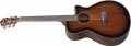 Ibanez AEG74