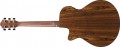 Ibanez AEG74