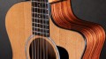 Taylor 254ce Plus