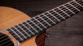 Taylor 254ce Plus