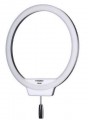 Yongnuo YN308 LED 5500K