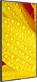 NEC MultiSync M431-2