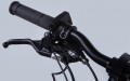 Dorozhnik eONYX DD CS 20 2025